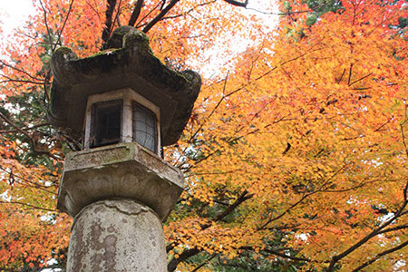 谷汲山華厳寺もみじ