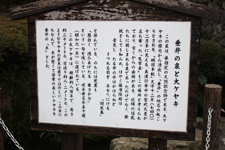 垂井の泉