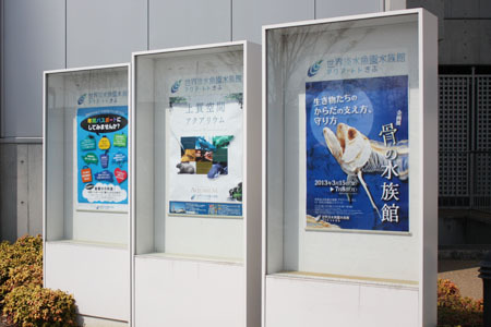 世界淡水魚園水族館 アクア・トト ぎふ