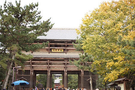 奈良公園から東大寺へ