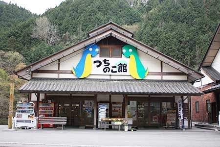 つちのこ館