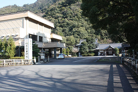鵜飼桜