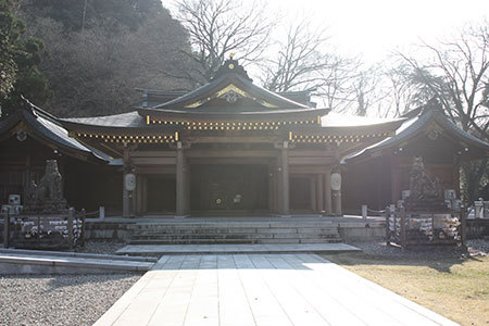 鵜飼桜
