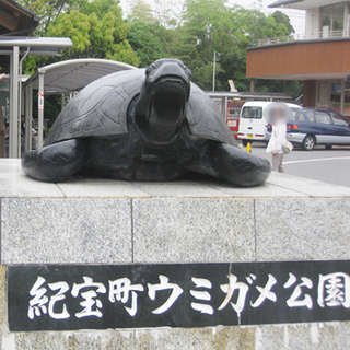 紀宝町ウミガメ公園