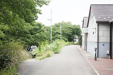 道の駅柳津遊歩道