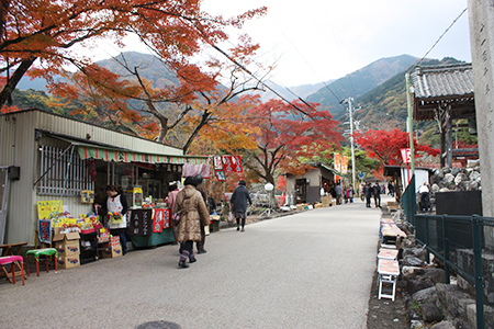 養老公園の紅葉