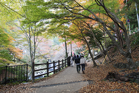 養老公園の紅葉