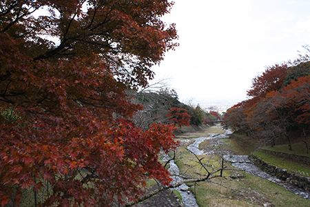 養老公園の紅葉