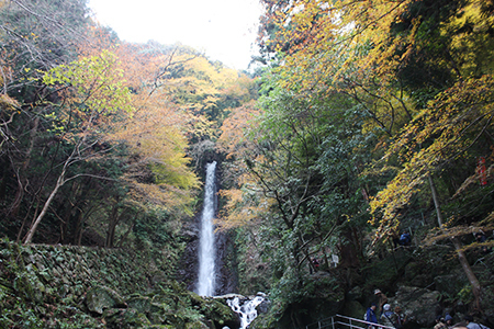 養老公園の紅葉