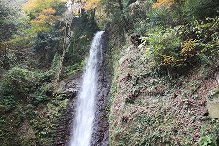 養老公園の紅葉