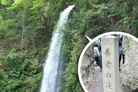 養老の滝