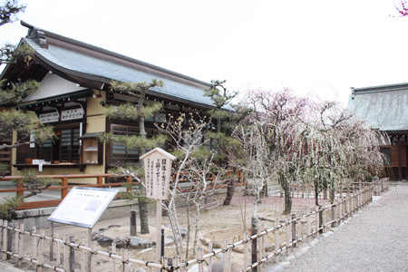 結城神社の梅まつり